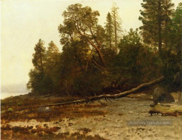 L’arbre tombé Albert Bierstadt Peinture à l'huile